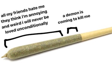 sections of a joint meme